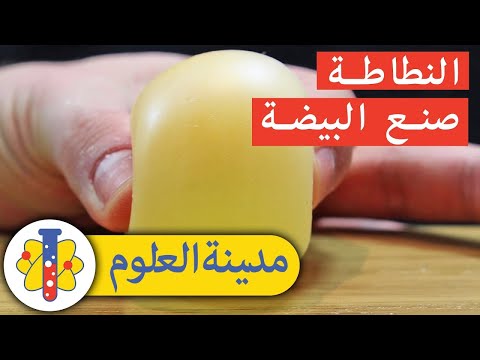 How To Make A Bouncing Egg: تجارب علوم منزلية مذهلة | مدينة العلوم | Lab 360 Arabic