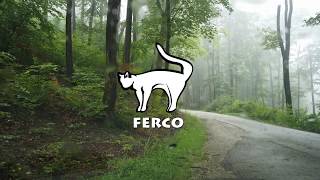 Ferco - Ill Sing To You Official Music Video
