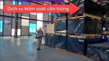 Dịch vụ kiểm soát côn trùng và chuột tại nhà máy công ty tại Bình Dương