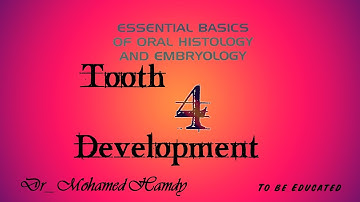 Root formation + clinical consideration of tooth develop | Oral Biology | Tooth development