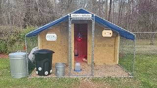 Yelton Farms chicken coop build from Amazon Week 4