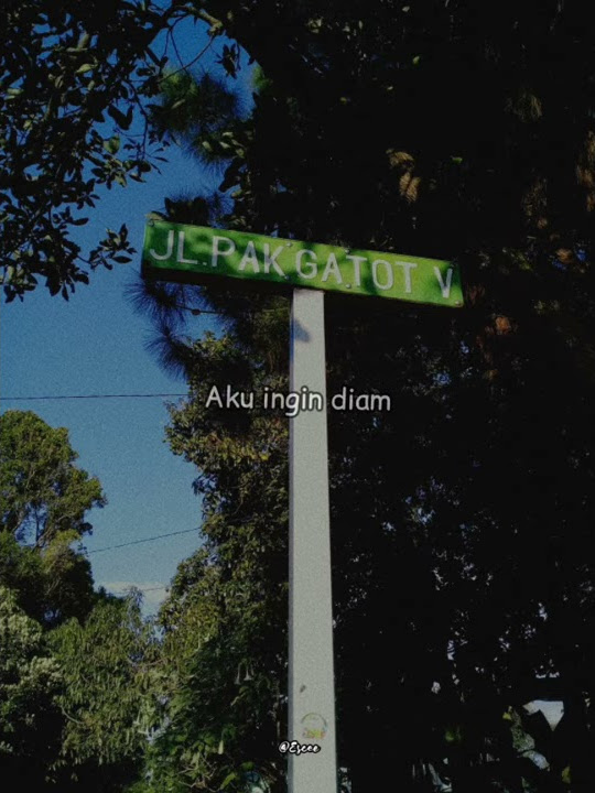 STORY WA 30 DETIK|| DIAM~PAYUNG TEDUH
