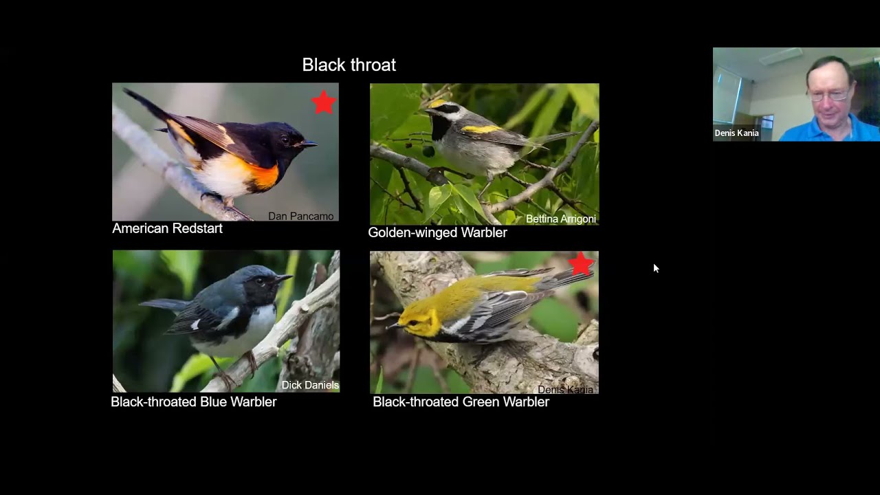 DBC Meeting: Spring Warbler Refresher and Helping Our Local Rivers
