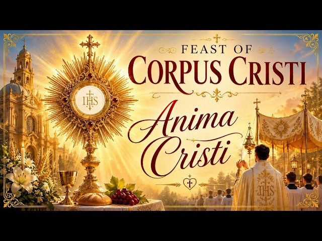 Anima Cristi