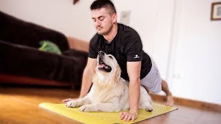 Dog Won't Let Dad Workout | Funny Dog Bailey