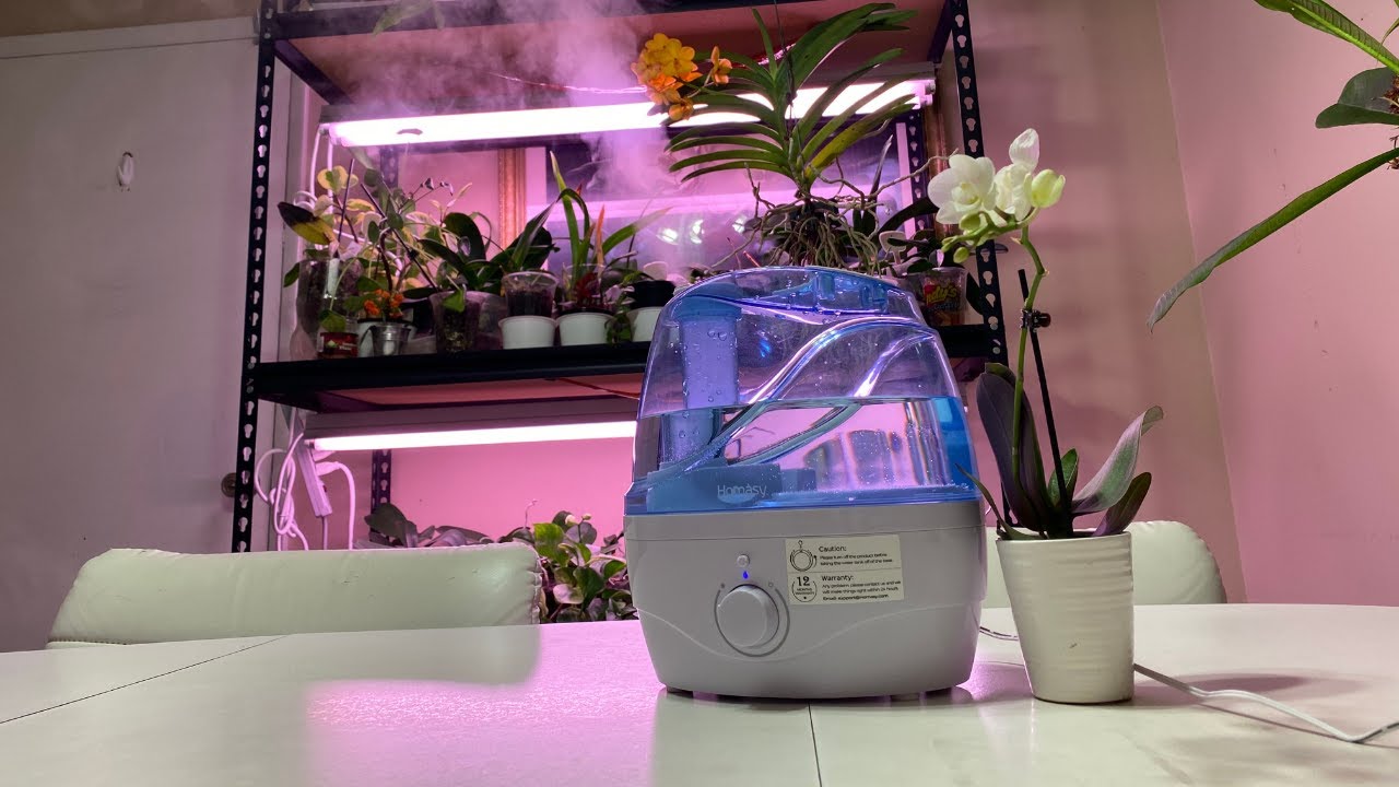 Humidificateur homasy - Électroménager