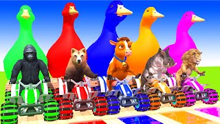 5 Giant Duck & Wild Animals Cage Game Cow Dog Lion Elephant Tiger Chicken Buffalo crossing Fountain