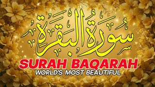 Surah Al-Baqarah | The Divine Framework That Shapes Belief and Action