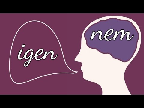 Miért nehéz nemet mondani? – alá-fölé rendeltség, beilleszkedés, önbizalomhiány, berögzült szokások