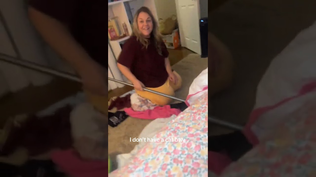 Эта система распределения кошек выбрала меня😌 