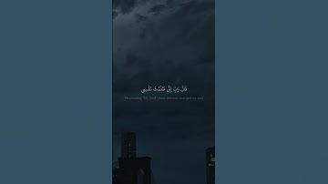 ( قَالَ رَبِّ إِنِّی ظَلَمۡتُ نَفۡسِی )  محمد صديق المنشاوي |  سورة القصص