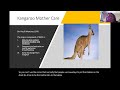 IMMEDIATE KANGAROO MOTHER CARE PRESENTER DR EBUN ADEJUYIGBE