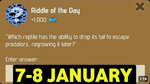Riddle Of The Day Zoo 7-8 January | Zoo Riddle Of The Day Code | Riddle Of The Day Zoo