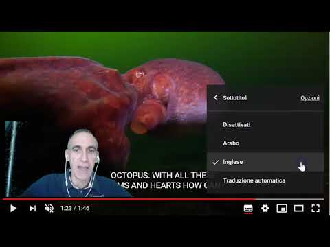 Tradurre In Italiano I Sottotitoli Youtube