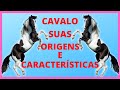CAVALO SEUAS CARACTERÍSTICAS - Características físicas do cavalo