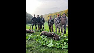 Hunting Hungarian Fallow bucks in Gyulaj Forest; October 2022.