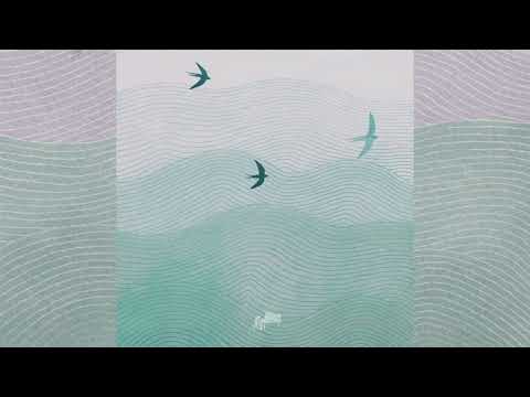 Andrea Vanzo Spring Birds Edit Official Visualizer Andrea Vanzo Spring Birds Edit Official Visualizer