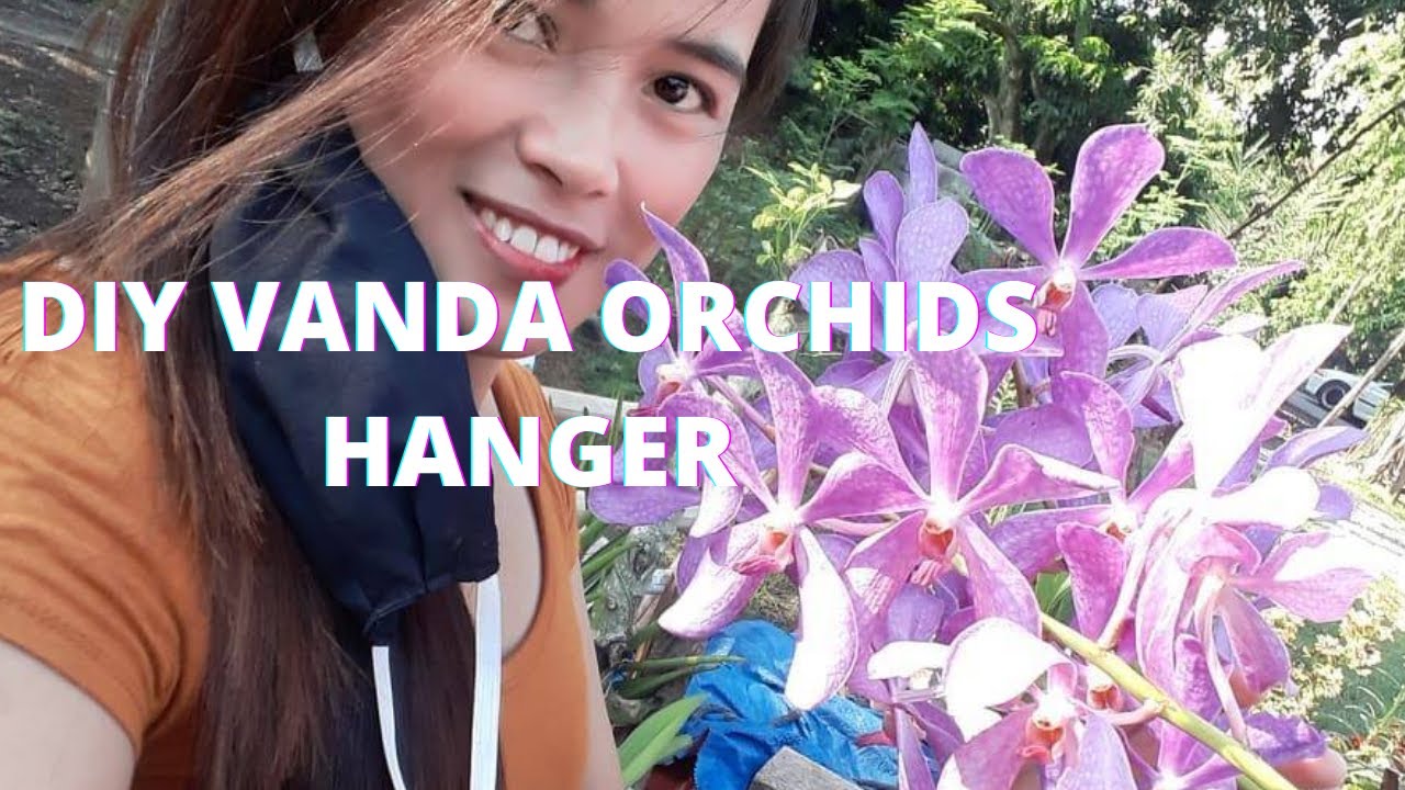 DIY VANDA ORCHID HANGER