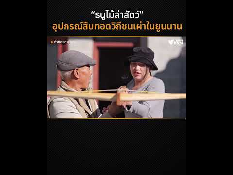 "ธนูไม้ล่าสัตว์" อุปกรณ์สืบทอดวิถียูนนาน |  ทั่วทิศแดนมังกร