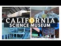 🔴 [2022] Inside California Science Museum Los Angeles | FREE Things to Do in LA!