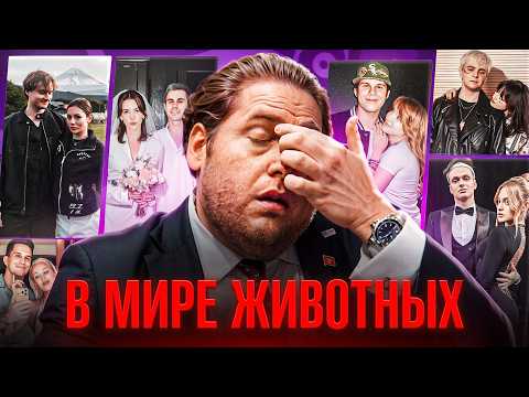Кринжовые Медийные Парочки Уже Бесят