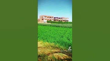 تلاوة خاشعة من الشيخ محمود أنور الشحات