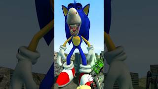 all sized donkey sonic vs height