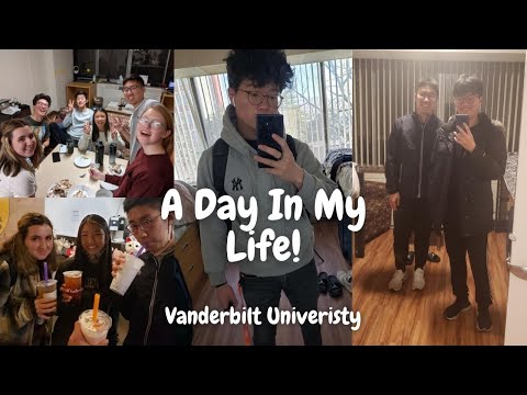 Video: Je Vanderbilt akreditován?