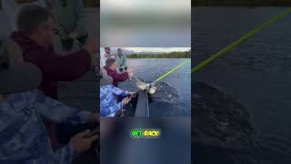 GIANT ALLIGATOR CAPTURED! 9/15 #viral #short #youtubeshorts #shorts #viralvideo #youtube #shortvideo