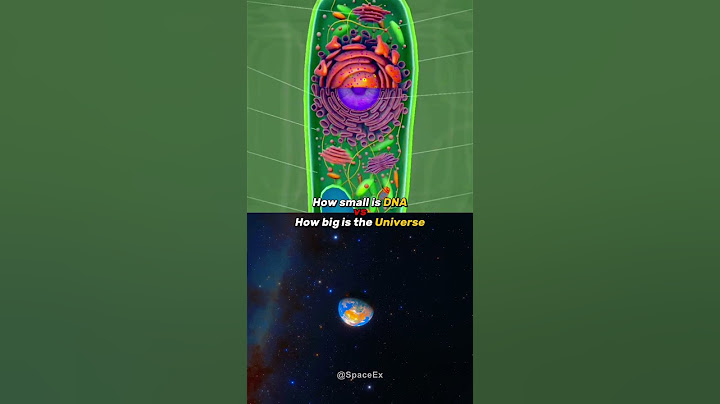 How Small Is DNA vs How Big Is The Universe #shorts #space #earth #universe #dna