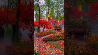 Most beautiful places on earth  #travel #adventure #nature