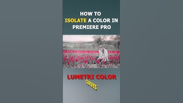 How to ISOLATE A COLOR in Premiere Pro #adobepremierepro #color #ISOLATEA @SmertimbaGraphics SHIVU