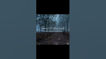 #quran #ياسر_الدوسري #يسمع آيات الله
