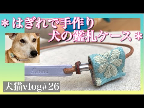 はぎれで簡単手作り 犬の鑑札ケース とお散歩で見つけたムラサキシキブ コムラサキ 犬猫vlog 26 Youtube
