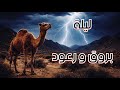 قصة 830 سوداني في حضرة الجن 