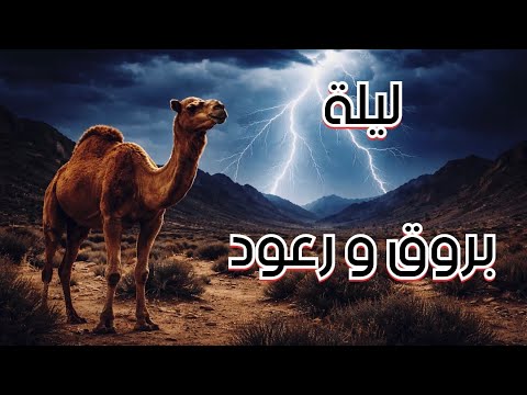 قصة 830 سوداني في حضرة الجن