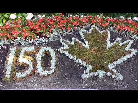 Vídeo: Guia del parc Queen Elizabeth de Vancouver