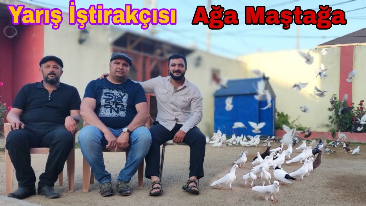 Maştağada Ağa Qardaşın Qonağı Olduq Azərbaycan Çempionatı Bakı Göyərçinlərinin Yarış İştirakçısı