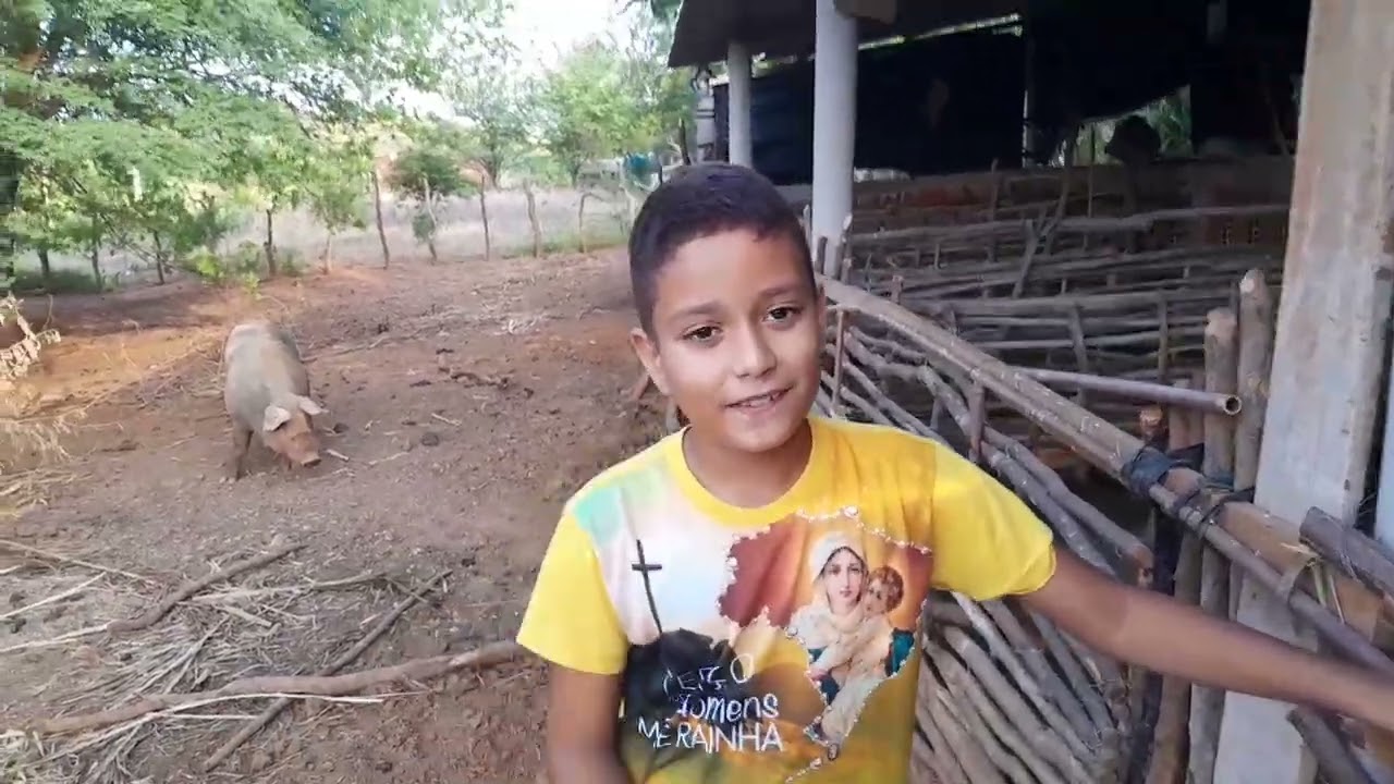 Primeiro vídeo de 2026 mostrando nossos porquinhos 