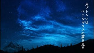 カブトムシはベテルギウスの夢を見る