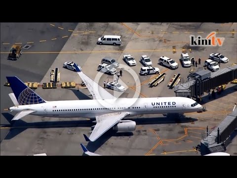 Video: Syarikat penerbangan manakah yang bersekutu dengan United?