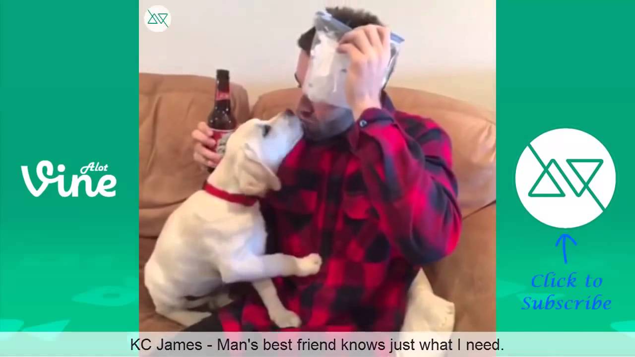 NEW BEST VINES OF JANUARY 2015 Part 6   JANUARY 2015 VINE COMPILATION   NEW VINES   AlotVines ✔