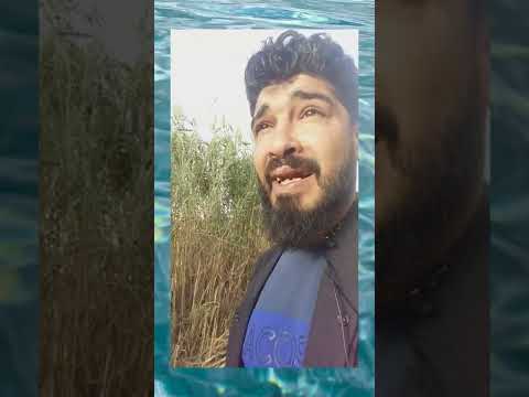 رد البال باش مضمرش 