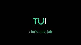 Samoan Language - Tui