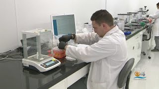 Answering Questions Regarding Testing, Quality Control In The Growing CBD & Hemp Industry