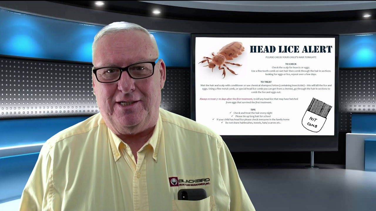 Going Back to School by Blackbird Realty & Management, Inc. YouTube