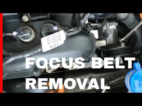 Diy Guide: How To Remove The 2.0L Serpentine Belt On A 2012-2019 Ford Focus