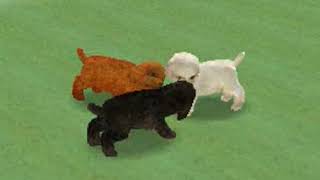 [iQue DSi] Nintendogs Trailer #1