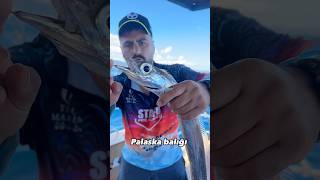 Daha Önce Görmüş Müydünüz?