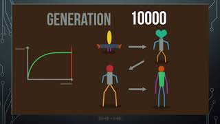Evolutionary Algorithm